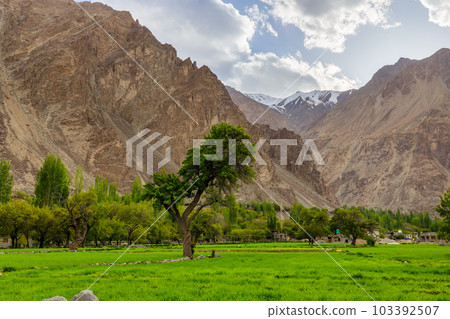 Turtuk a beautiful small village,Leh,Ladakh,northern India, 103392507