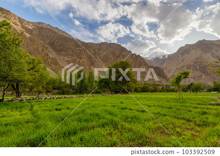 Turtuk a beautiful small village,Leh,Ladakh,northern India, Turtuk a beautiful small village,Leh,Ladakh,northern India, 103392509