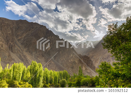 Turtuk a beautiful small village,Leh,Ladakh,northern India, 103392512