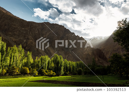 Turtuk a beautiful small village,Leh,Ladakh,northern India, 103392513