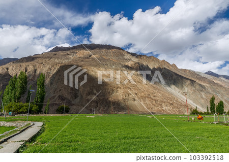 Turtuk a beautiful small village,Leh,Ladakh,northern India, 103392518