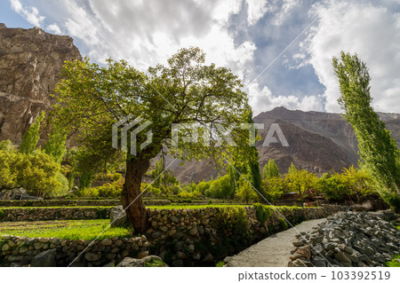 Turtuk a beautiful small village,Leh,Ladakh,northern India, 103392519
