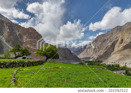 Turtuk a beautiful small village,Leh,Ladakh,northern India, 103392522