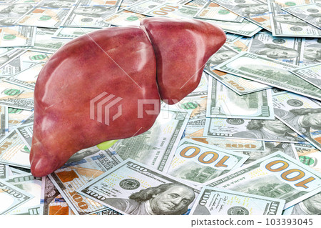 Human liver with gallbladder on the dollars background, 3D rendering Human liver with gallbladder on the dollars background, 3D rendering 103393045