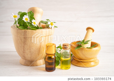 Alternative medicine herbal organic capsule with vitamin E omega 3 fish oil, mineral, drug with herbs leaf natural supplements for healthy good life. 103393174