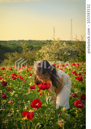 A Little Girl On The Peony Field On A Summer Day 103393532