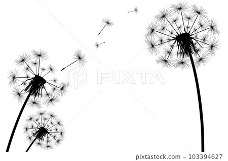 Silhouette of a simple single dandelion Silhouette of a simple single dandelion 103394627