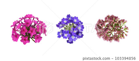 Set of colorful flowers isolated 103394856