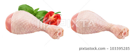 Raw chicken leg or drumstick isolated on white background with full depth of field Raw chicken leg or drumstick isolated on white background with full depth of field 103395285