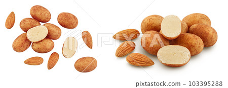 Marzipan balls or potatoes with almond isolated on white background full depth of field. Top view. Flat lay Marzipan balls or potatoes with almond isolated on white background full depth of field. Top view. Flat lay 103395288