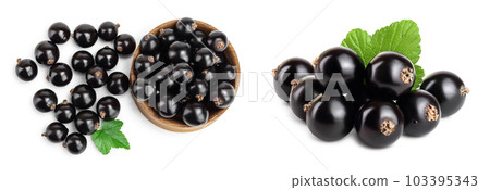 Black currants in bowl on white background.Top view. Flat lay pattern Black currants in bowl on white background.Top view. Flat lay pattern 103395343