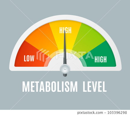 Realistic Detailed 3d Color Metabolism Level Indicator. Vector 103396298