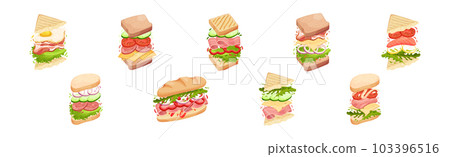 Sandwich with Ingredient Layers Between Bread Slices Vector Set Sandwich with Ingredient Layers Between Bread Slices Vector Set 103396516