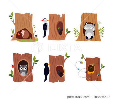 Forest Animal in Their Cozy Home and Burrow Vector Set 103396592