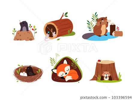 Forest Animal in Their Cozy Home and Burrow Vector Set Forest Animal in Their Cozy Home and Burrow Vector Set 103396594