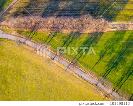 Rural asphalt road with alley of trees at sunset time. Trees in a row with dropped long shadow. Aerial view from drone. Rural asphalt road with alley of trees at sunset time. Trees in a row with dropped long shadow. Aerial view from drone. 103398113
