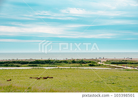 Clear blue sky and field scenery Clear blue sky and field scenery 103398501
