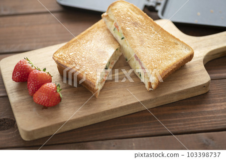 Potato salad hot sandwiches made with a hot sandwich maker 103398737