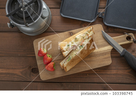 Potato salad hot sandwiches made with a hot sandwich maker 103398745
