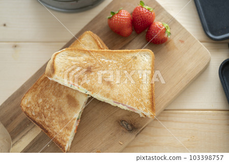 Potato salad hot sandwiches made with a hot sandwich maker 103398757