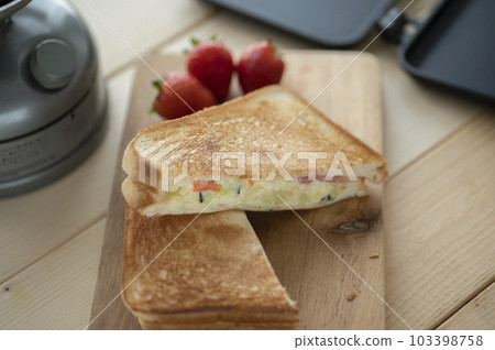 Potato salad hot sandwiches made with a hot sandwich maker 103398758