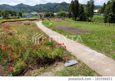 Maintained Nagurumi Castle Ruins Park, Minakami Town, Gunma Prefecture Maintained Nagurumi Castle Ruins Park, Minakami Town, Gunma Prefecture 103398851