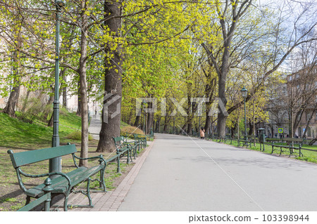 [Poland] Scenery of street trees and benches lined with green leaves in a park in the old town of Krakow 103398944