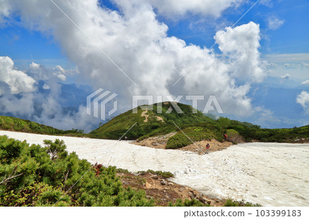 夏季唐松岳八方根的仙津溪谷風景（2021年7月，長野縣白馬村） 103399183