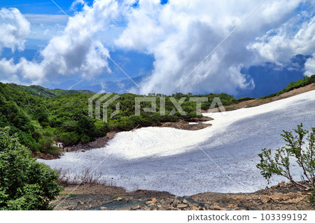 夏季唐松岳八方根的仙津溪谷風景（2021年7月，長野縣白馬村） 103399192