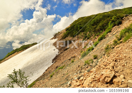 Scenery of Sensetsu Valley on Happoone of Mt. Karamatsudake in summer (July 2021, Hakuba Village, Nagano Prefecture) 103399198