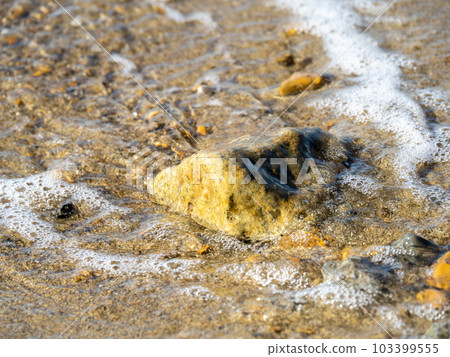 沙灘上的波浪。 沙灘上的波浪。 103399555