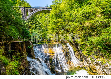 Stone railway viaduct over the Radovna river waterfall in the Vintgar Gorge. Triglav National Park, Slovenia. 103399636