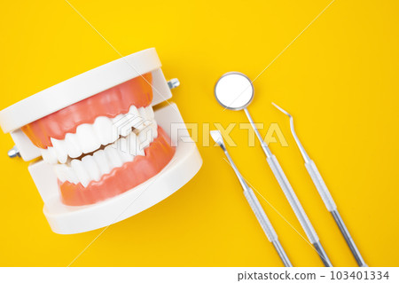 The Dentures model and instrument dental on yellow background. The Dentures model and instrument dental on yellow background. 103401334