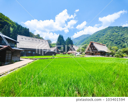 Gokayama Suganuma Gassho-zukuri Village (Summer) Gokayama Suganuma Gassho-zukuri Village (Summer) 103401594