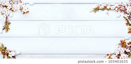 Easter background wood. Sakura blossom flower, white happy easter eggs on wood spring background. Easter design banner. Top view. Flat lay. 103401635