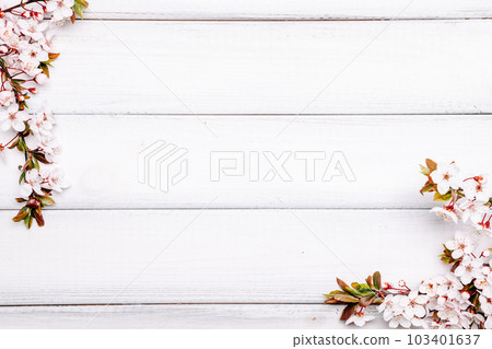 Spring background table. May flowers and April floral nature on wooden. For banner, branches of blossoming cherry against background. Copy space. Spring background table. May flowers and April floral nature on wooden. For banner, branches of blossoming cherry against background. Copy space. 103401637