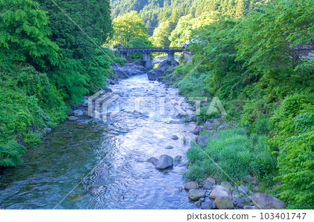 Oashi River near Furumine Shrine's first torii gate, fresh green scenery, Kanuma City Oashi River near Furumine Shrine's first torii gate, fresh green scenery, Kanuma City 103401747