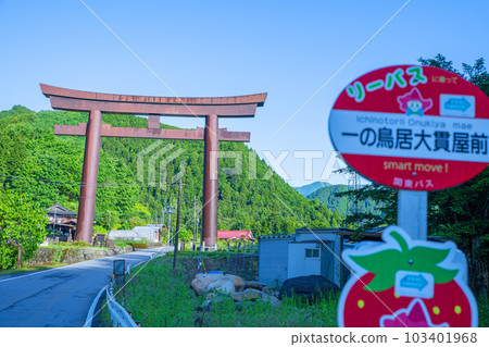 Furumine Shrine Ichino Torii Gate Kanuma City 103401968