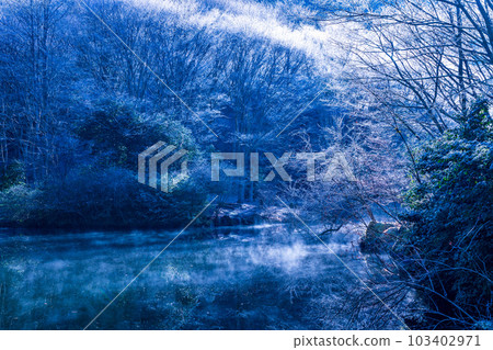 霧凇森林/湖泊圖像 霧凇森林/湖泊圖像 103402971