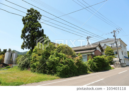 新潟縣 新潟市酒造所 峰野白梅酒造所（峰野白梅） 103403118