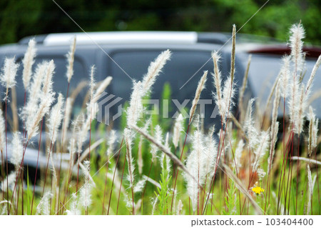Abandoned vehicle image 103404400