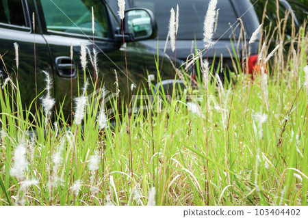 Abandoned vehicle image Abandoned vehicle image 103404402