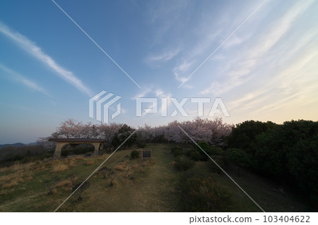 《岡山縣》瀨戶內海國立公園 富士山的春景 《岡山縣》瀨戶內海國立公園 富士山的春景 103404622