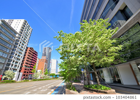 《愛知縣》名古屋市景 名古屋市櫻花通的一葉樹 《愛知縣》名古屋市景 名古屋市櫻花通的一葉樹 103404861