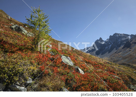 Dramatic landscape of swiss alps in upper Engadine, Graubunden, Switzerland 103405528