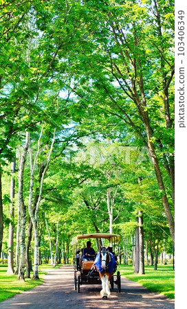 北海道的馬與自然主題公園“北馬公園”的景觀 103406349