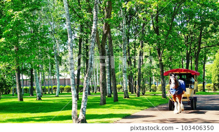 北海道的馬與自然主題公園“北馬公園”的景觀 103406350