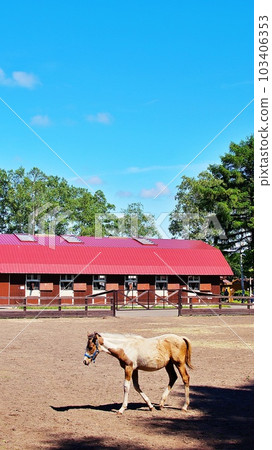 Landscape of Hokkaido's horse and nature theme park "Northern Horse Park" 103406353