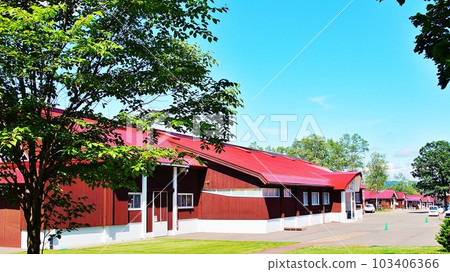 Scenery of Hokkaido Northern Horse Park Scenery of Hokkaido Northern Horse Park 103406366