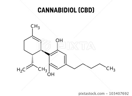 Cannabidiol, or CBD, molecular structure. Cannabidiol is a phytocannabinoid extracted from cannabis. Vector structural formula of chemical compound. 103407692